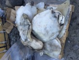 Продам неликвиды каучука